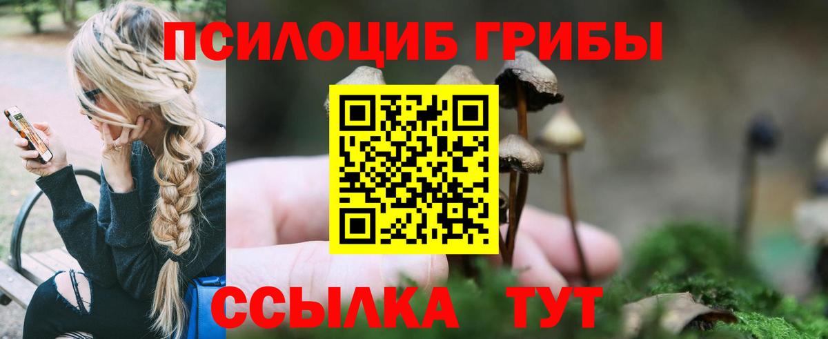 Галлюциногенные грибы GOLDEN TEACHER Барабинск